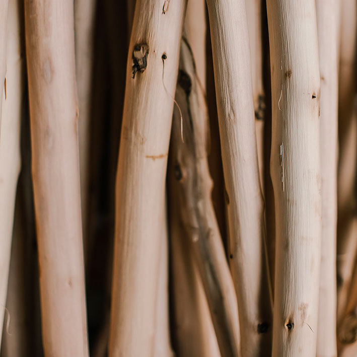 Le bois, une matière durable