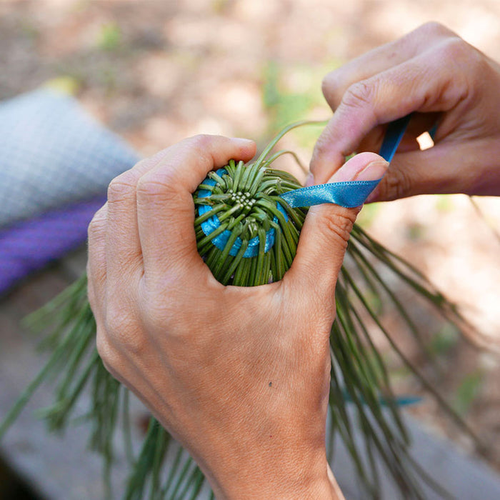 Les Fuseaux de Lavande