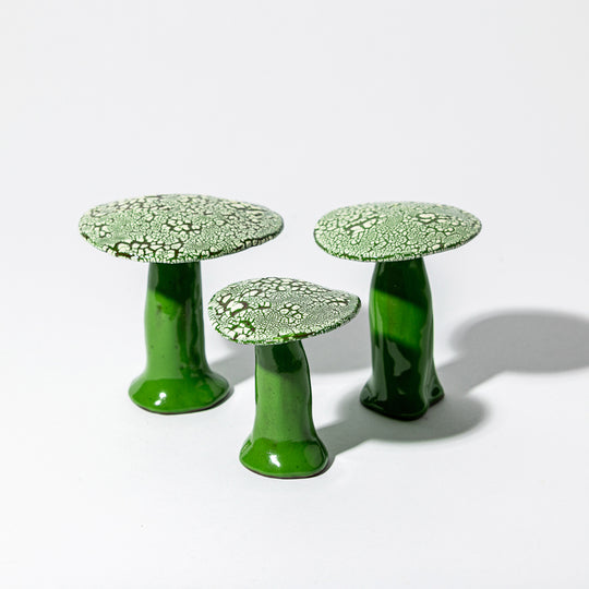 Set of Shagreen Mushrooms