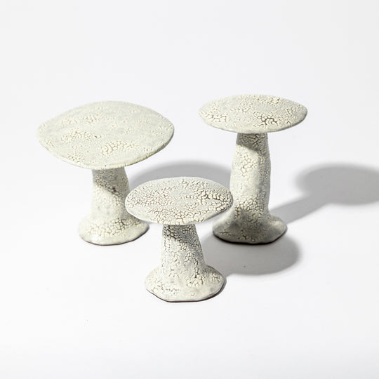 Set of Shagreen Mushrooms