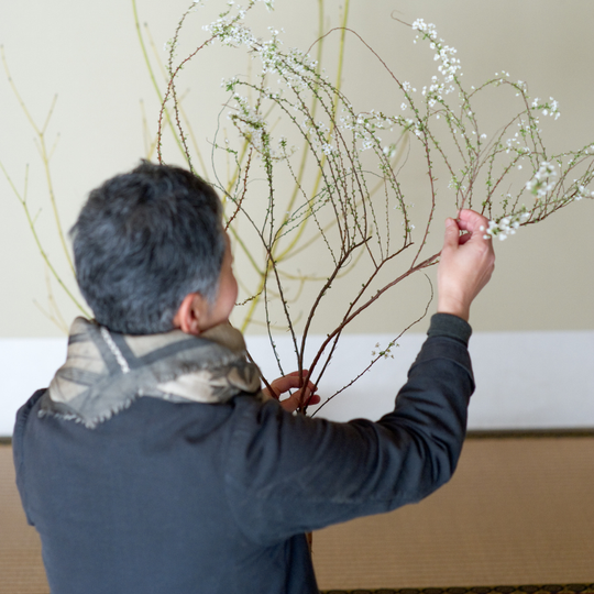 Ikebana Workshop - Saturday, February 14, 2026