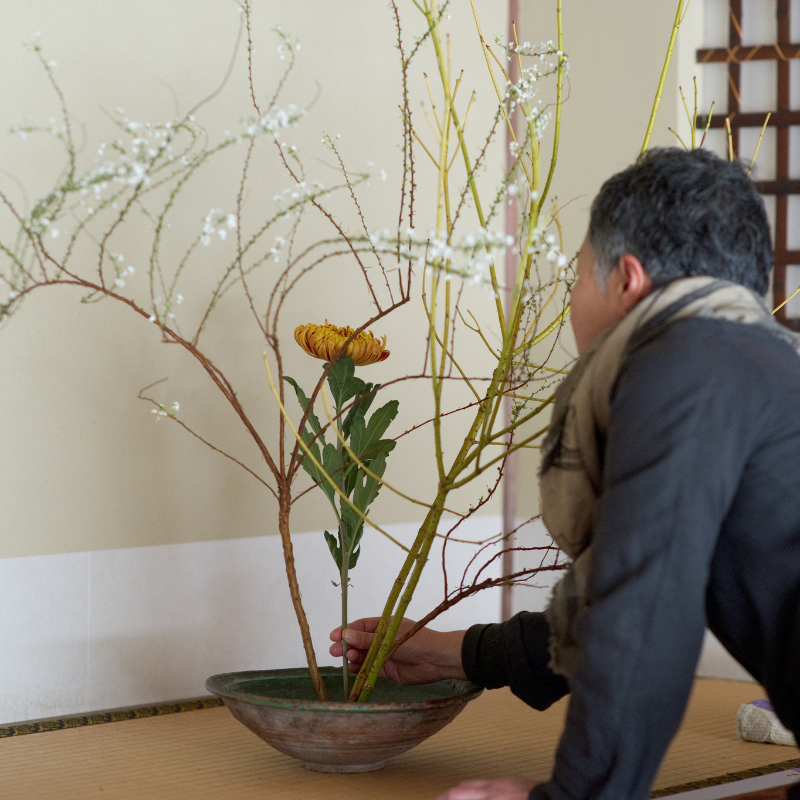 Ikebana Workshop - Saturday, February 14, 2026