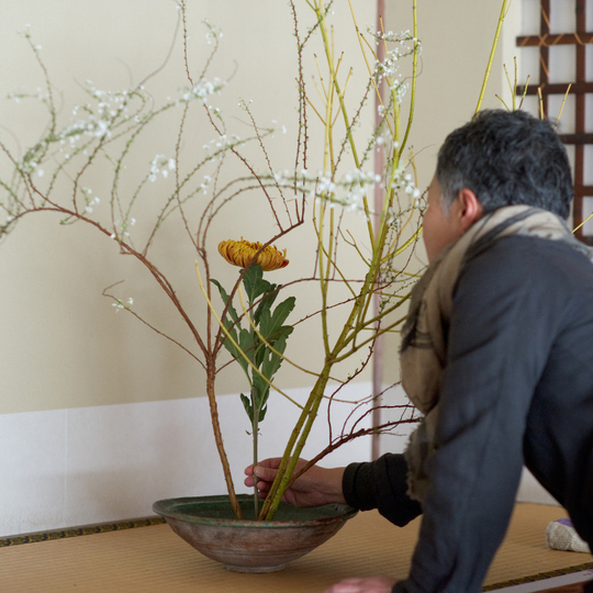 Ikebana Workshop - Saturday, February 14, 2026