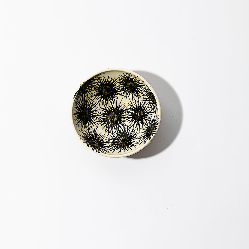 Ceramic bowl - sea urchin