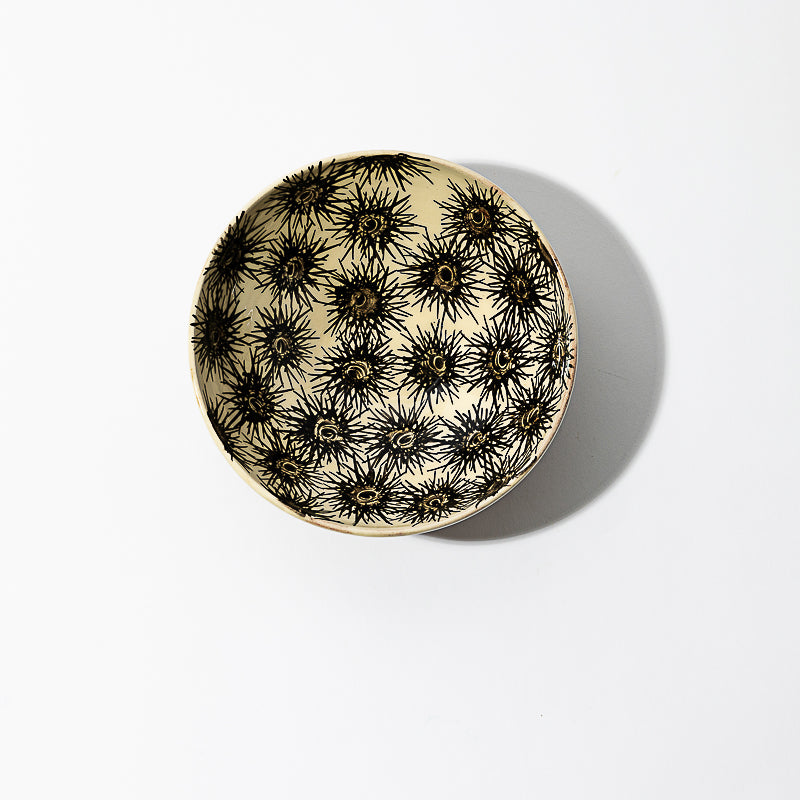 Ceramic bowl - sea urchin