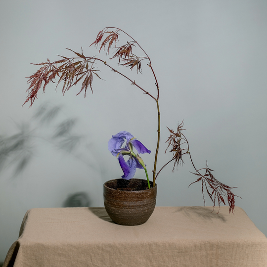 Ikebana Workshop - Saturday, February 14, 2026