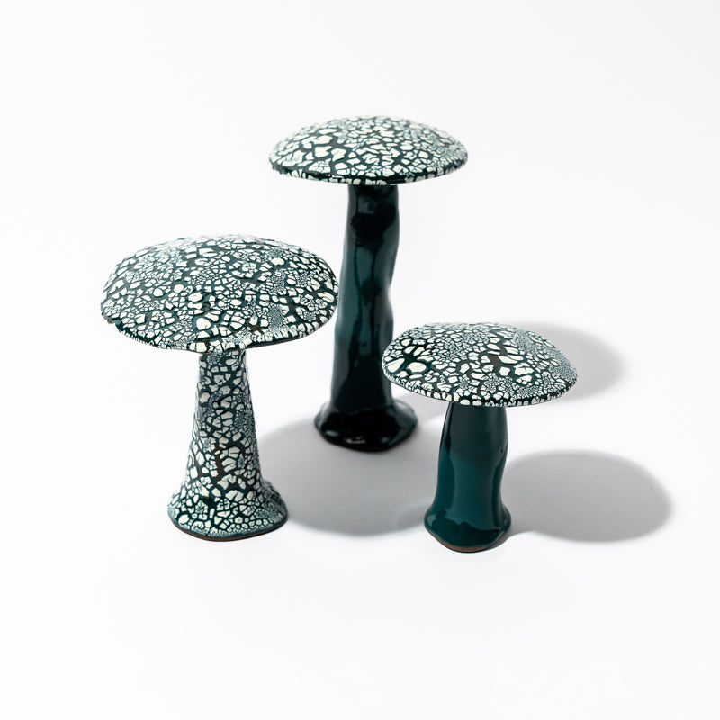 Set of Shagreen Mushrooms