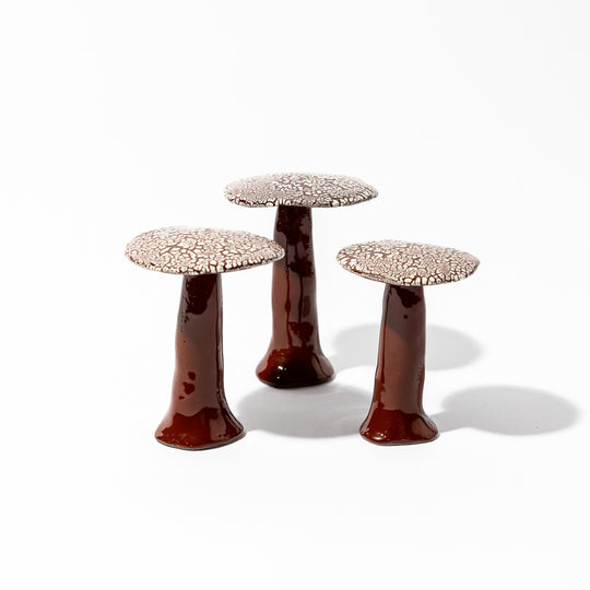 Set of Shagreen Mushrooms