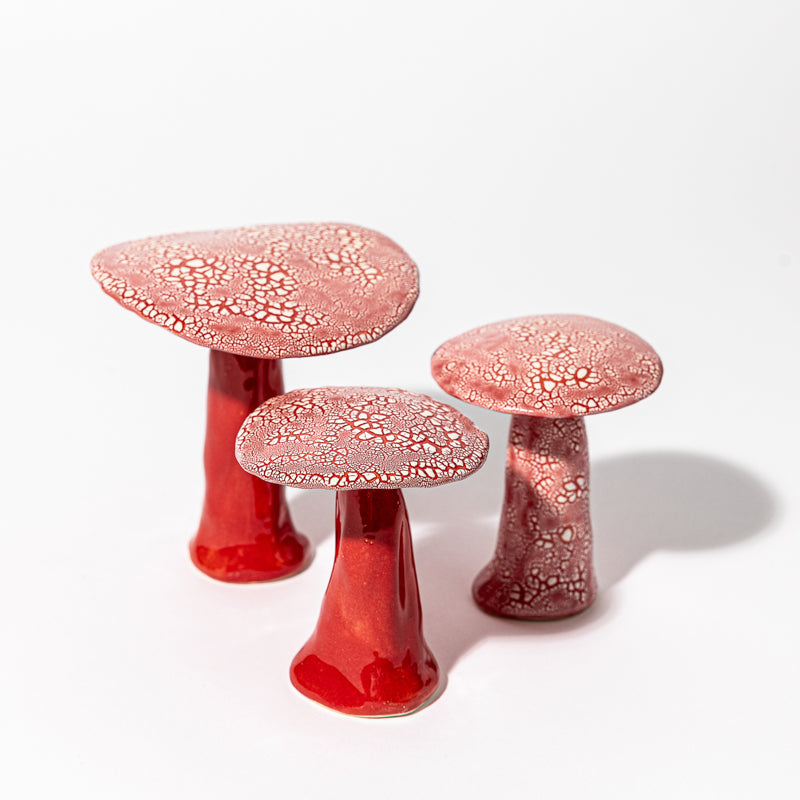 Set of Shagreen Mushrooms