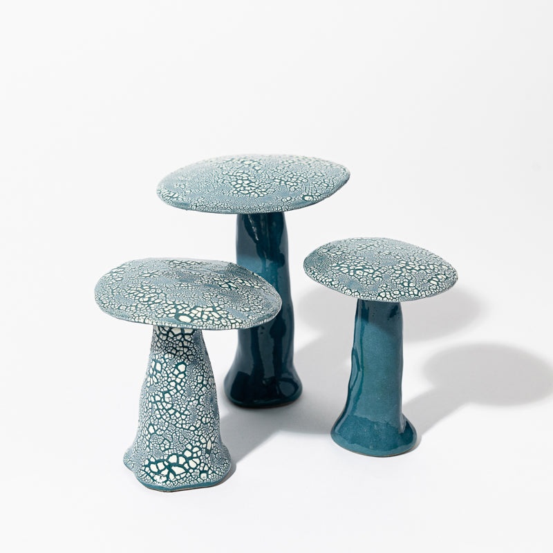 Set of Shagreen Mushrooms