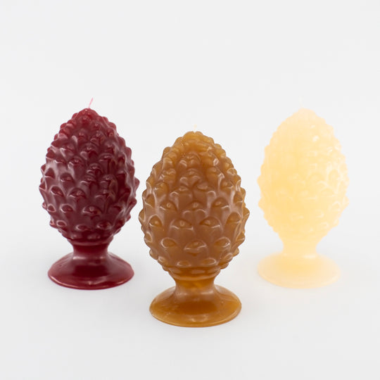 Pigna bougies