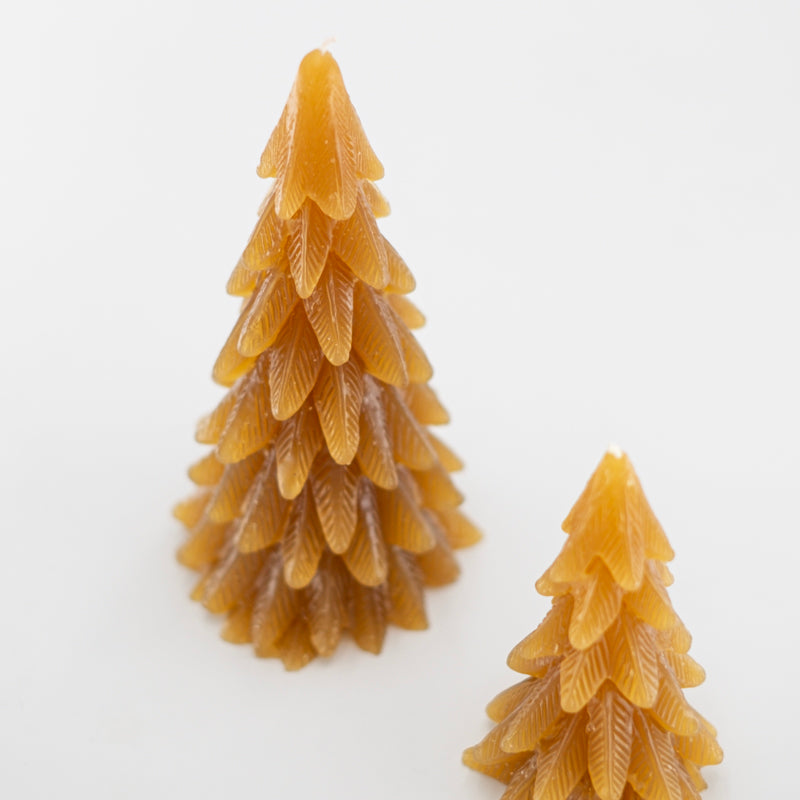 Sapin bougies