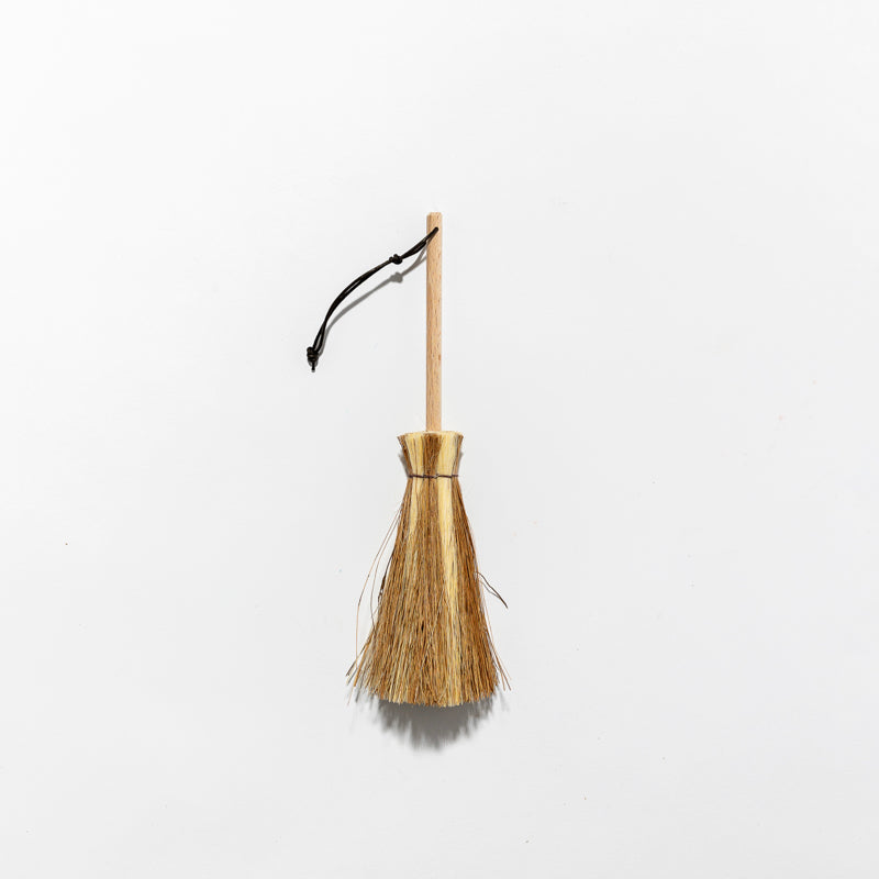 Balais Bi Colore Ramasse Miette