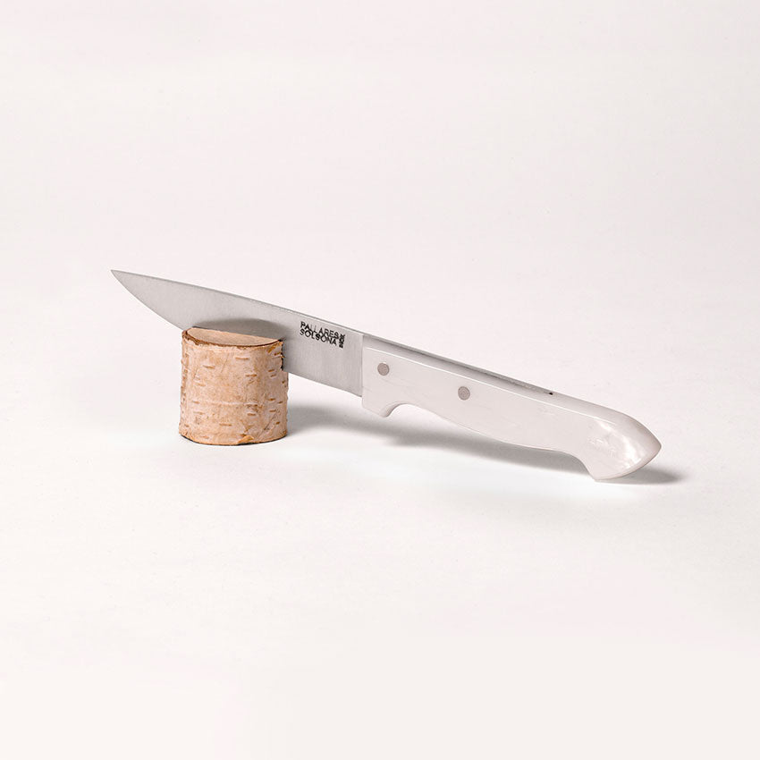 Mother of pearl handle kitchen knife